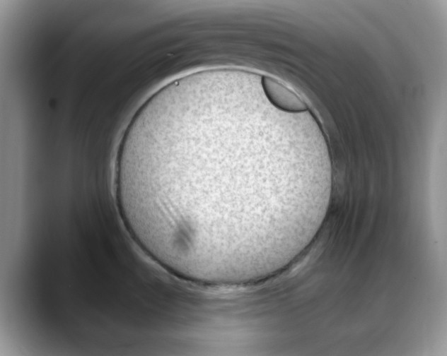 X0000088041535200706081559