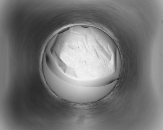 X0000088041536200706081559