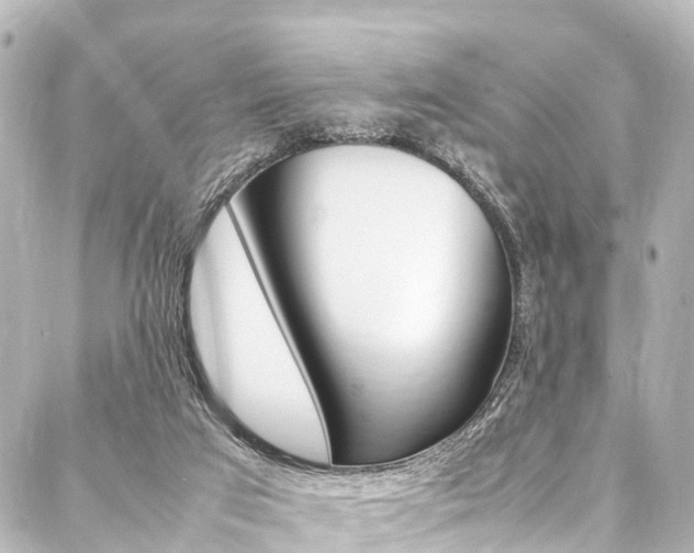 X0000088050017200705110901