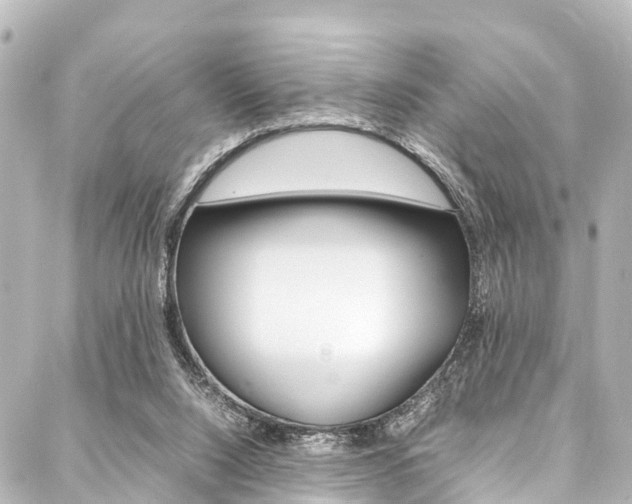 X0000088050064200705110900