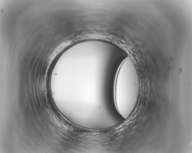 X0000088050104200705110859