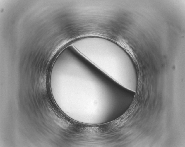 X0000088050108200705110859