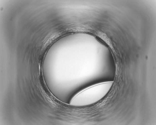 X0000088050109200705110859