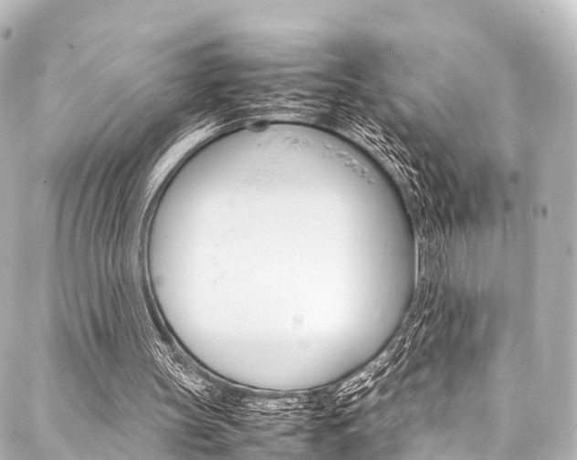 X0000088050147200705110858