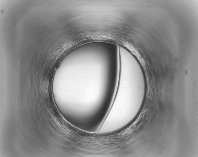 X0000088050201200705110858