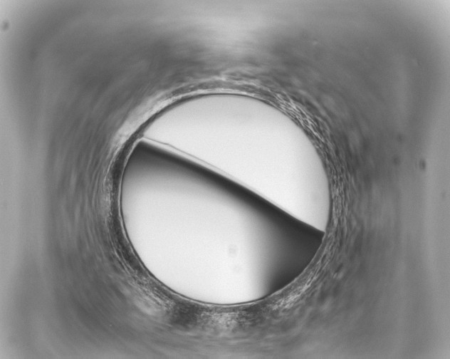 X0000088050295200705110856