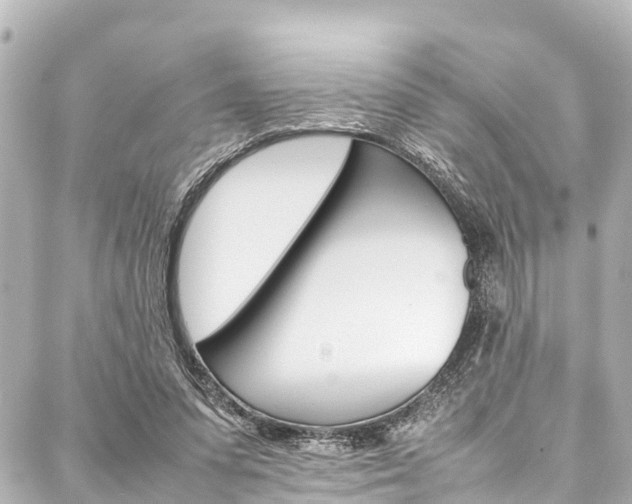 X0000088050303200705110856