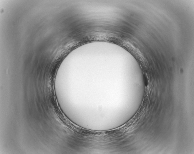 X0000088050306200705110856