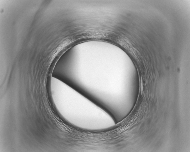 X0000088050483200705110853