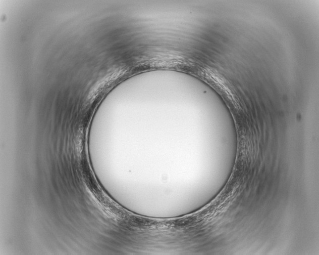 X0000088050586200705110851