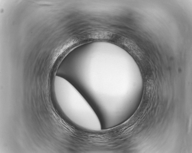 X0000088050727200705110849