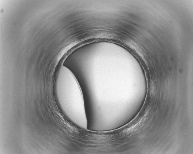 X0000088050829200705110847
