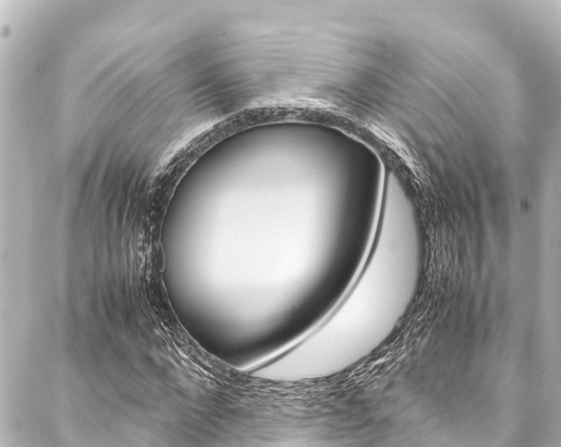 X0000088050872200705110847