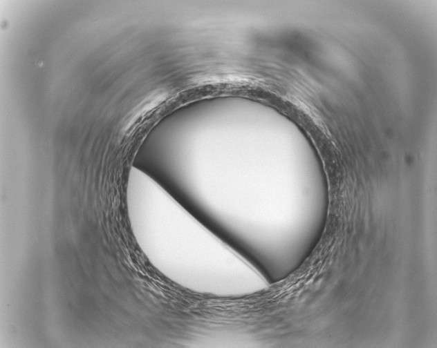 X0000088050967200705110845