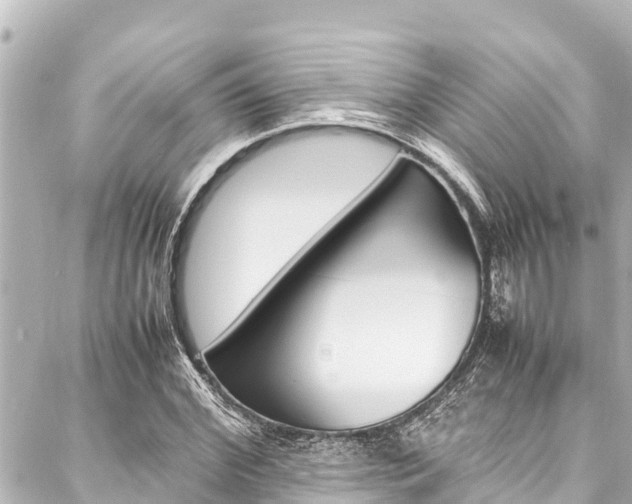 X0000088050972200705110845