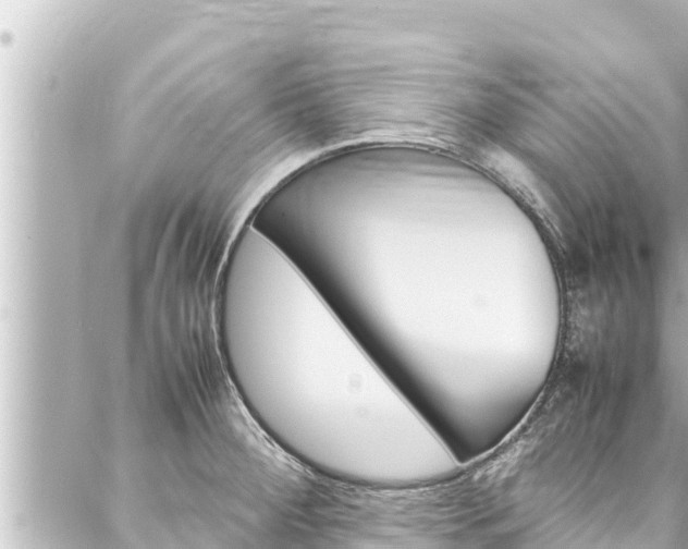 X0000088051284200705110840