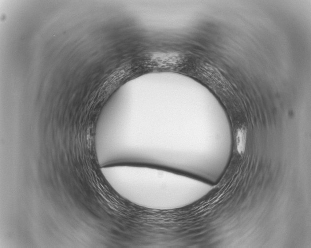 X0000088051395200705110838