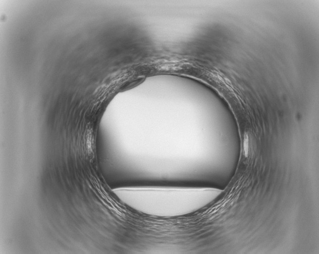 X0000088051444200705110837