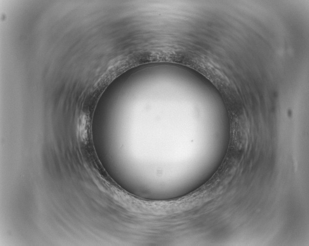 X0000088050038200705111318