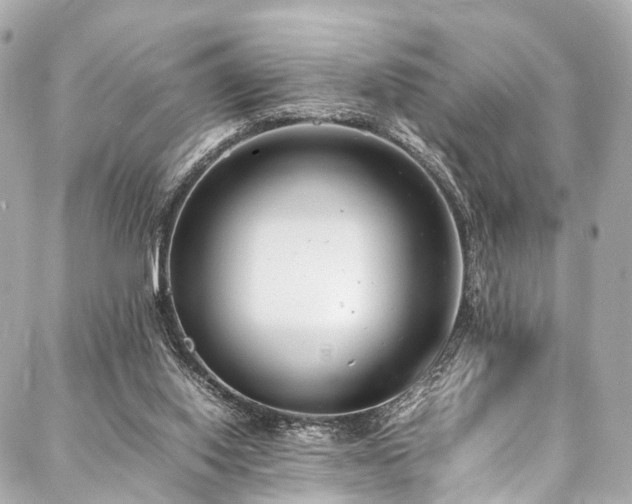 X0000088050062200705111317