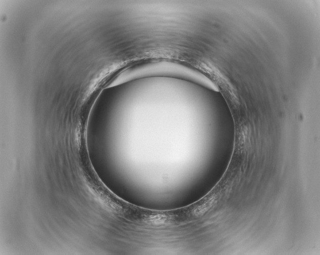 X0000088050064200705111317