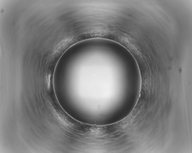 X0000088050070200705111317