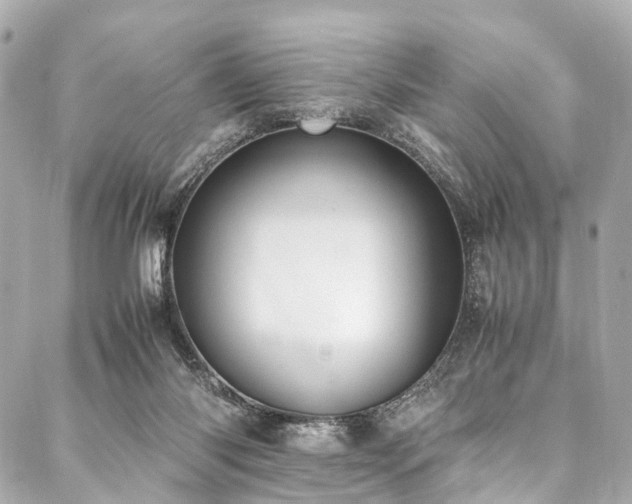 X0000088050118200705111316