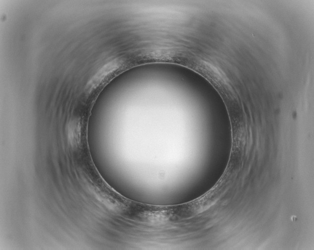 X0000088050120200705111316