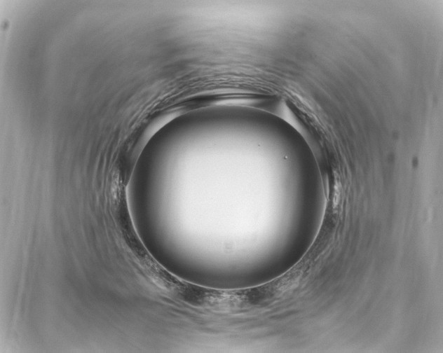 X0000088050125200705111316