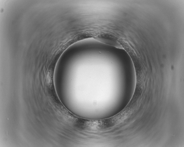 X0000088050131200705111316