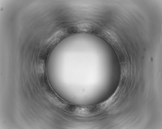 X0000088050174200705111316