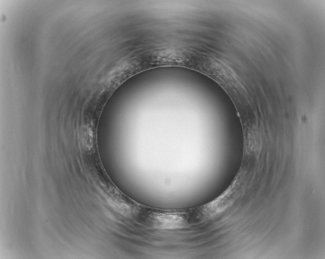 X0000088050183200705111316