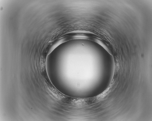 X0000088050186200705111316