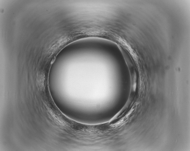 X0000088050201200705111315