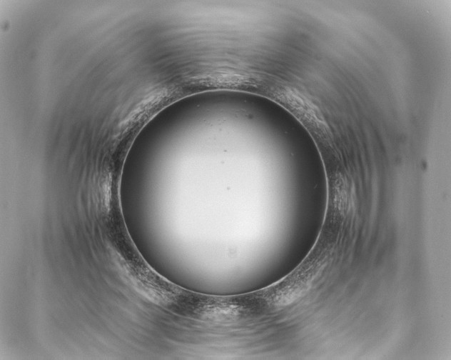X0000088050206200705111315