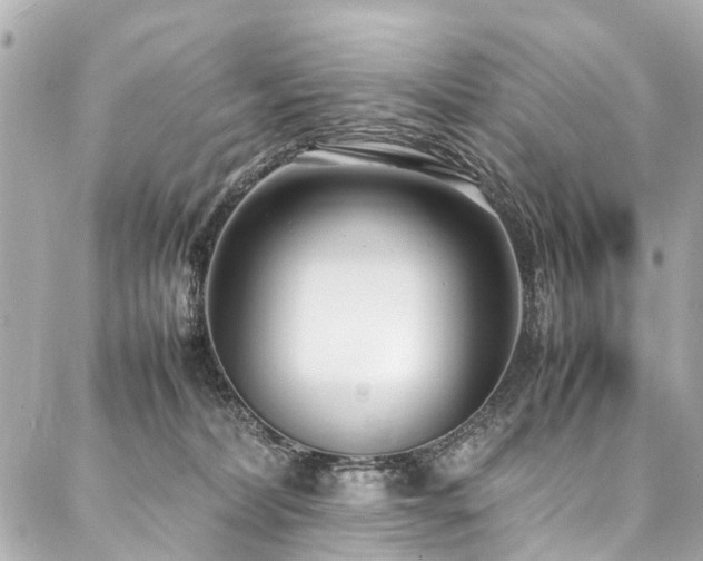 X0000088050228200705111315