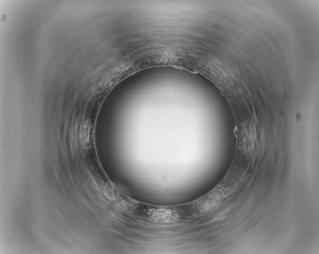 X0000088050230200705111315