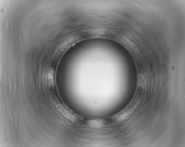 X0000088050238200705111314