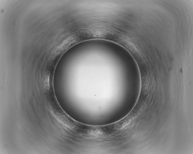 X0000088050262200705111314