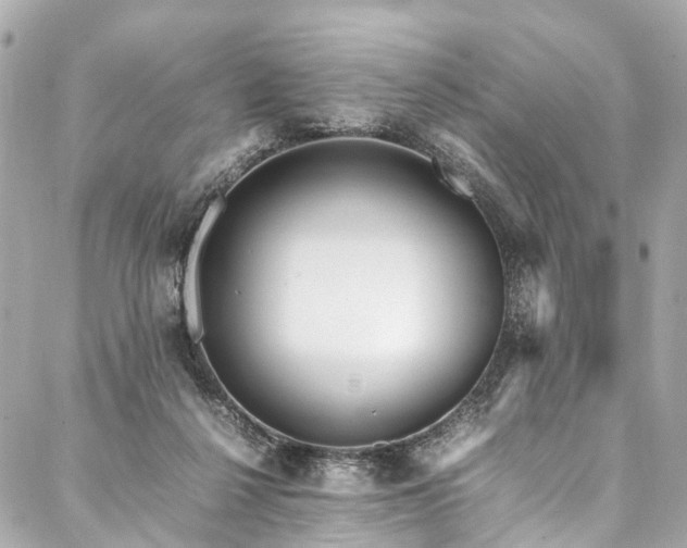 X0000088050264200705111314