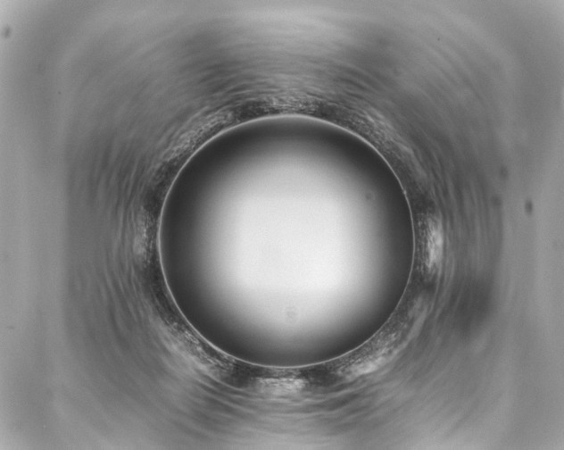 X0000088050266200705111314