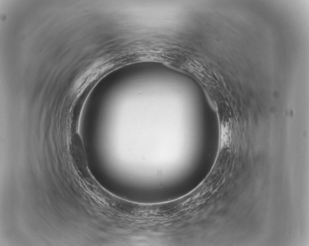 X0000088050291200705111314