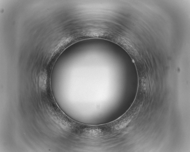 X0000088050304200705111313