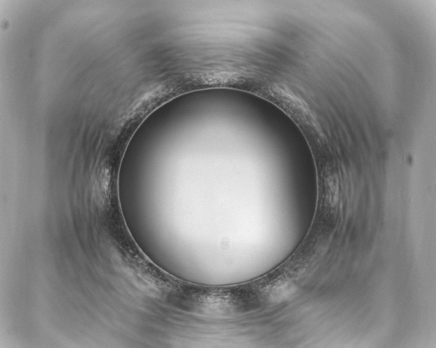 X0000088050308200705111313