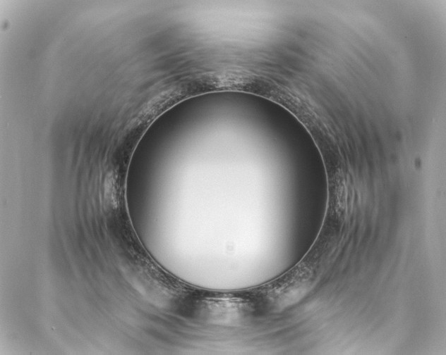 X0000088050316200705111313