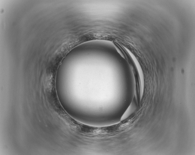 X0000088050319200705111313