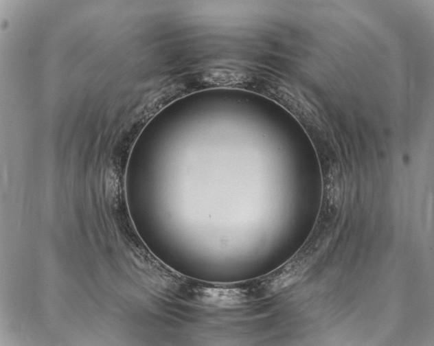 X0000088050371200705111313