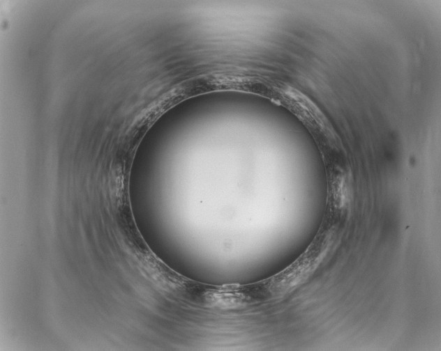 X0000088050372200705111313