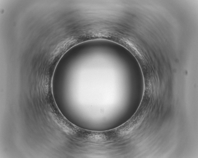 X0000088050402200705111312