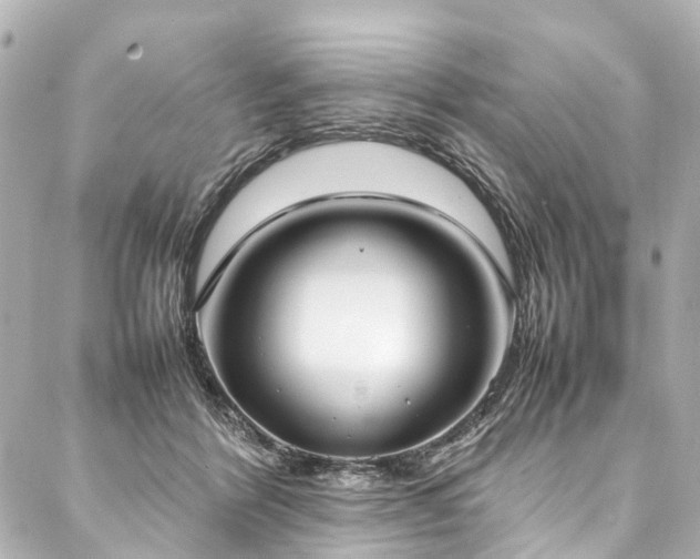 X0000088050412200705111312